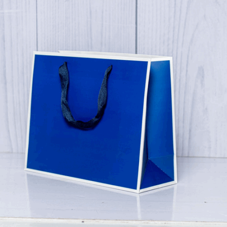 Blue Glossy Gift Bags with White Lining – Premium Packaging for Corporate & Personal Gifts | Etoda Gifts